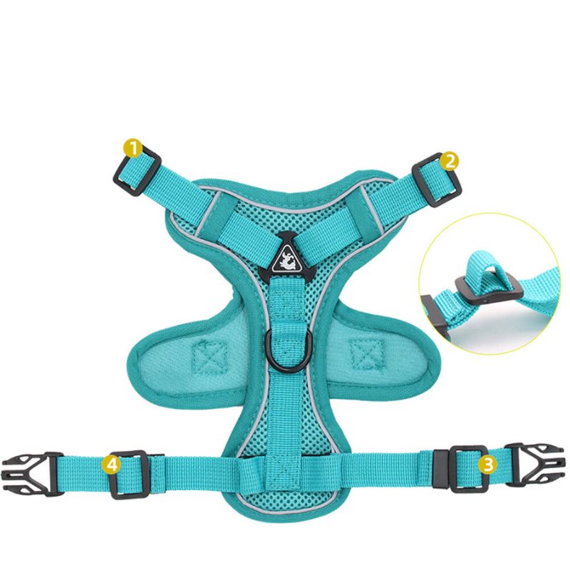 Cat Anti-Escape Harness - Safety & Freedom for Your Cat