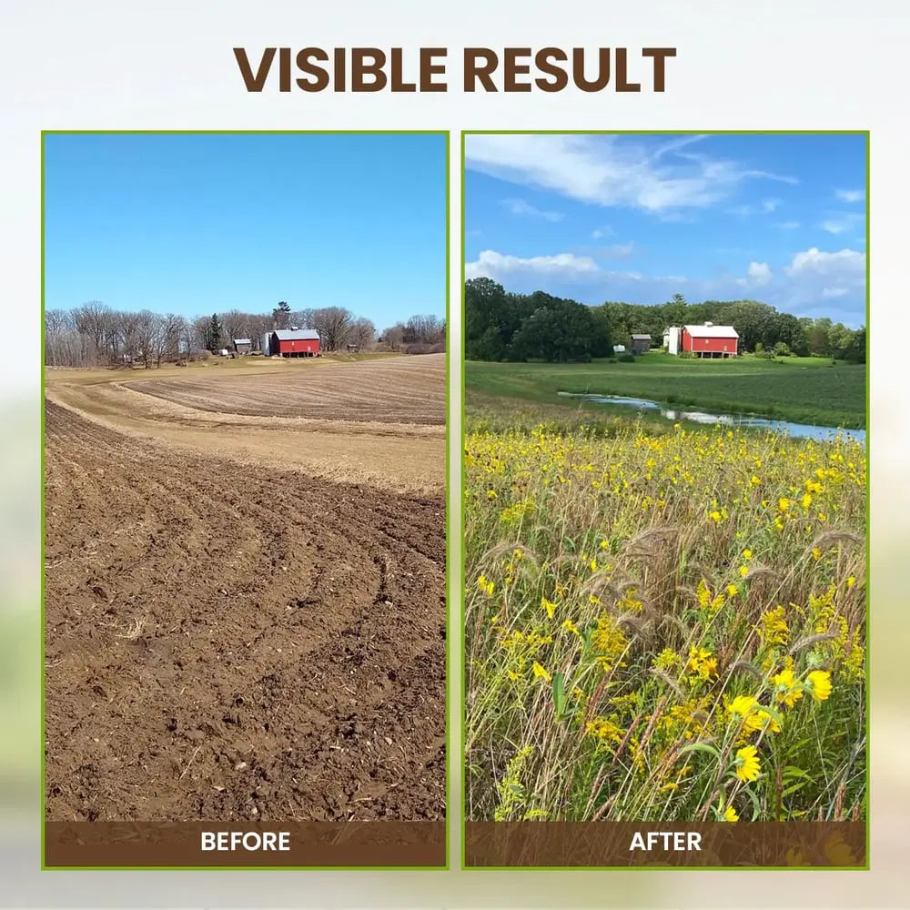 Organic Soil Activator for Robust Plant Growth
