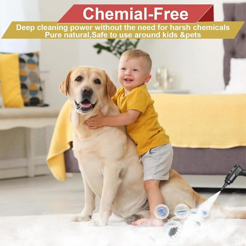 2500W High Pressure Steam Cleaner with 4 Nozzles