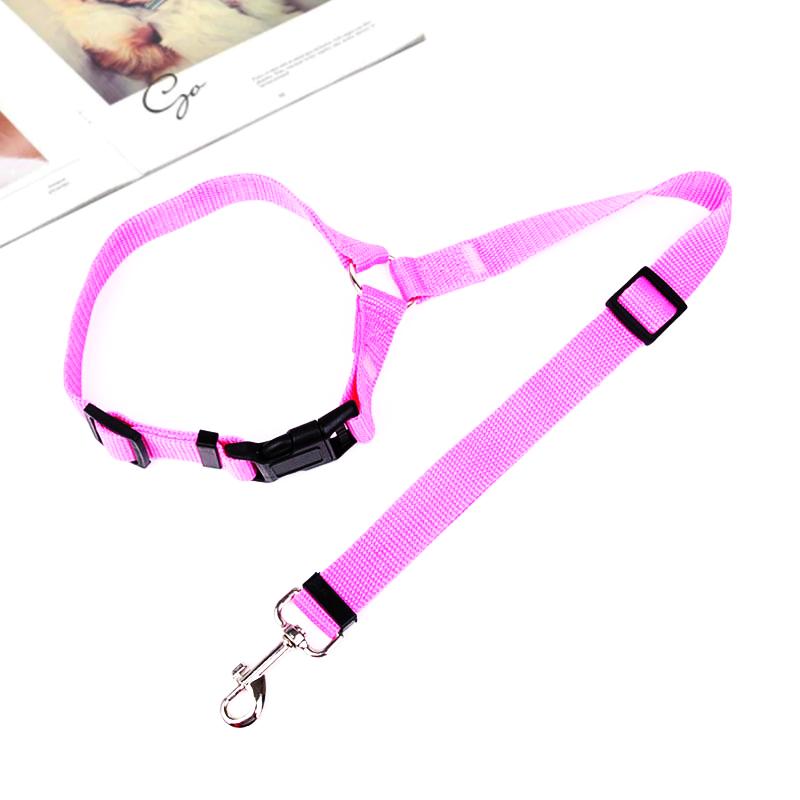 Adjustable Dog Leash for Car - Safety and Comfort