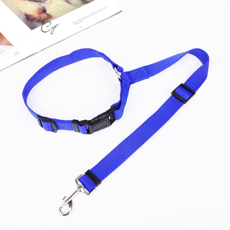 Adjustable Dog Leash for Car - Safety and Comfort