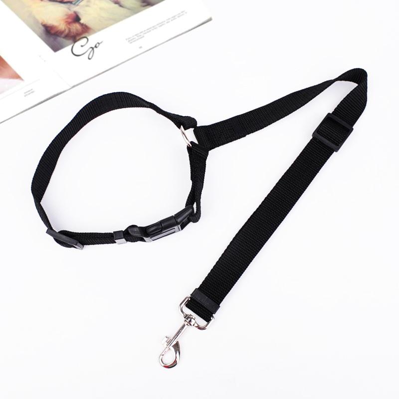 Adjustable Dog Leash for Car - Safety and Comfort