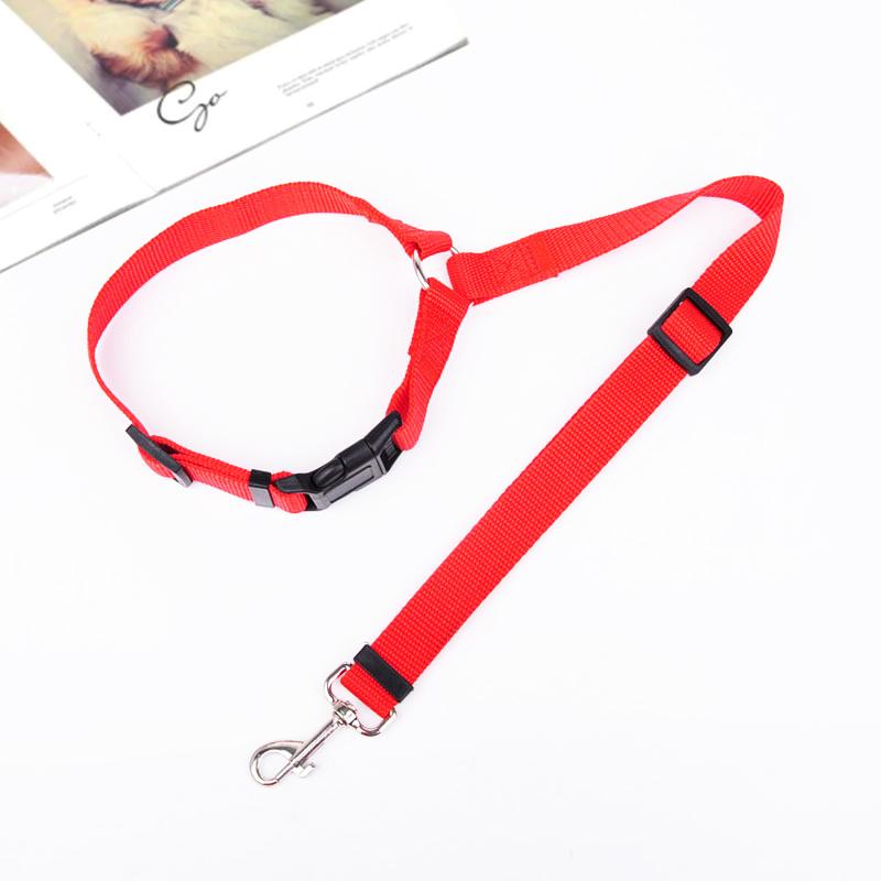 Adjustable Dog Leash for Car - Safety and Comfort