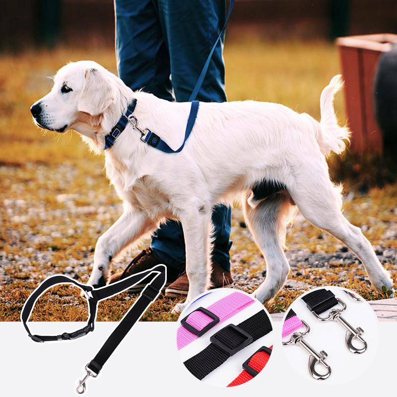 Adjustable Dog Leash for Car - Safety and Comfort