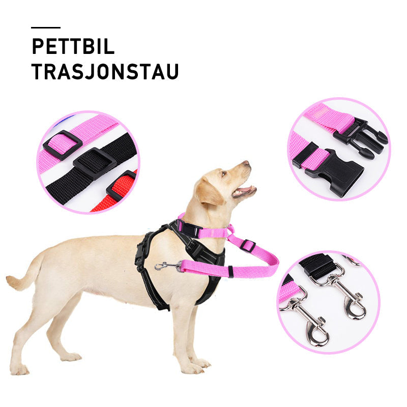 Adjustable Dog Leash for Car - Safety and Comfort