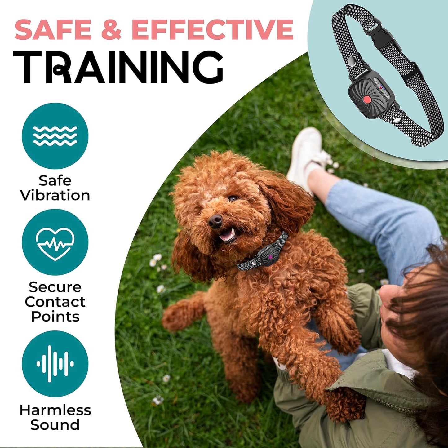 Anti-Bark Collar for Small Dogs