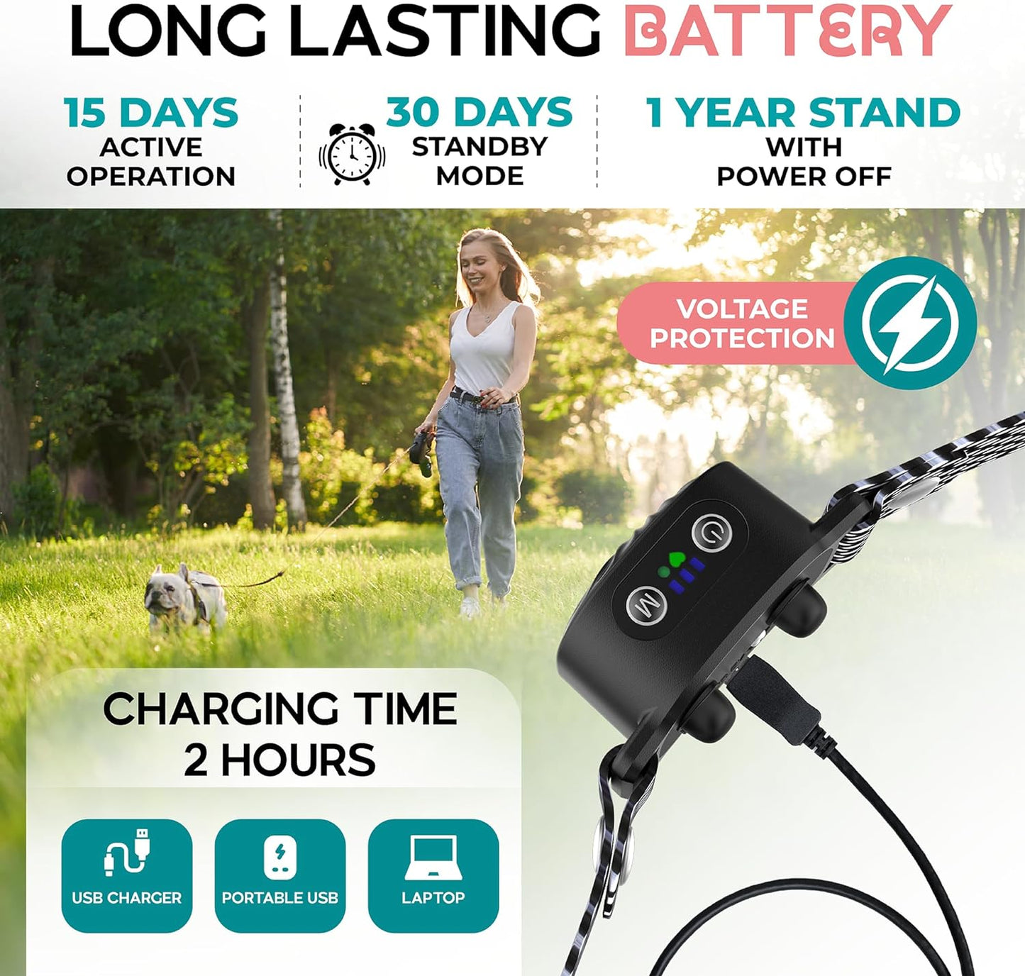 Anti-Bark Collar for Small Dogs
