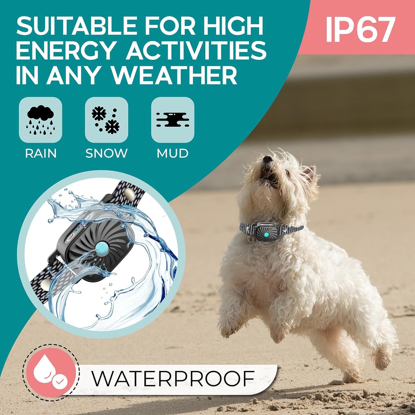 Anti-Bark Collar for Small Dogs