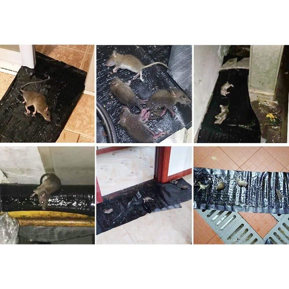 Anti-Rat Glue Traps | Large Adhesive Mats for Rodents