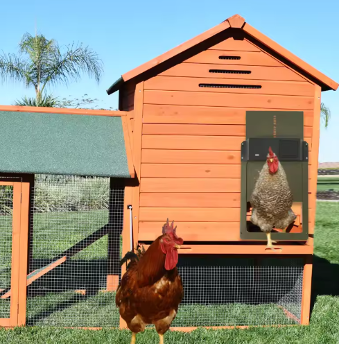 Automatic Chicken Coop Door System with Solar/Battery Options