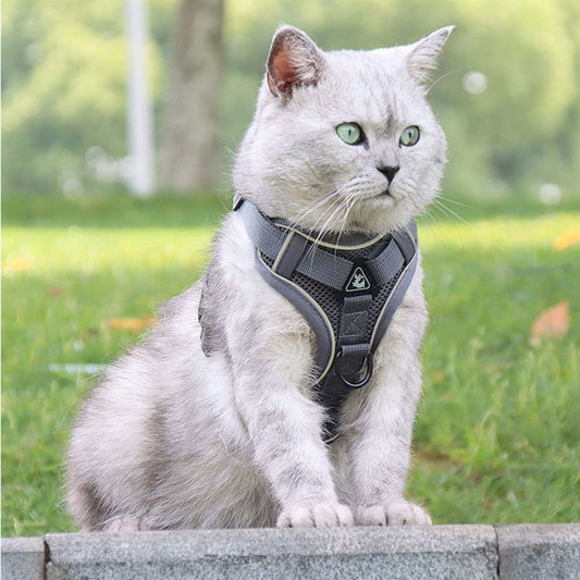 Cat Anti-Escape Harness - Safety & Freedom for Your Cat