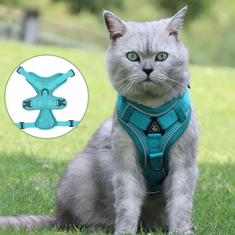 Cat Anti-Escape Harness - Safety & Freedom for Your Cat