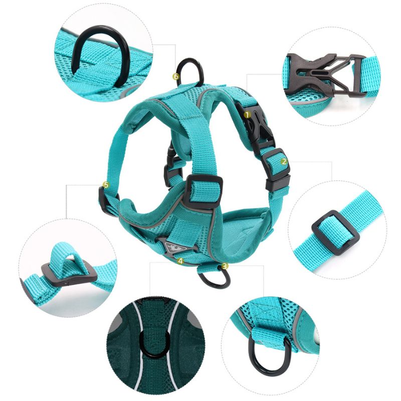 Cat Anti-Escape Harness - Safety & Freedom for Your Cat