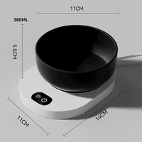 Ceramic Heated Bowl for Cats and Dogs
