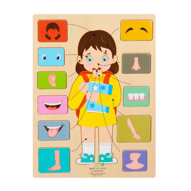 Children's Human Body Educational Wooden Puzzle Toy