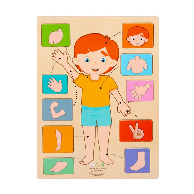 Children's Human Body Educational Wooden Puzzle Toy