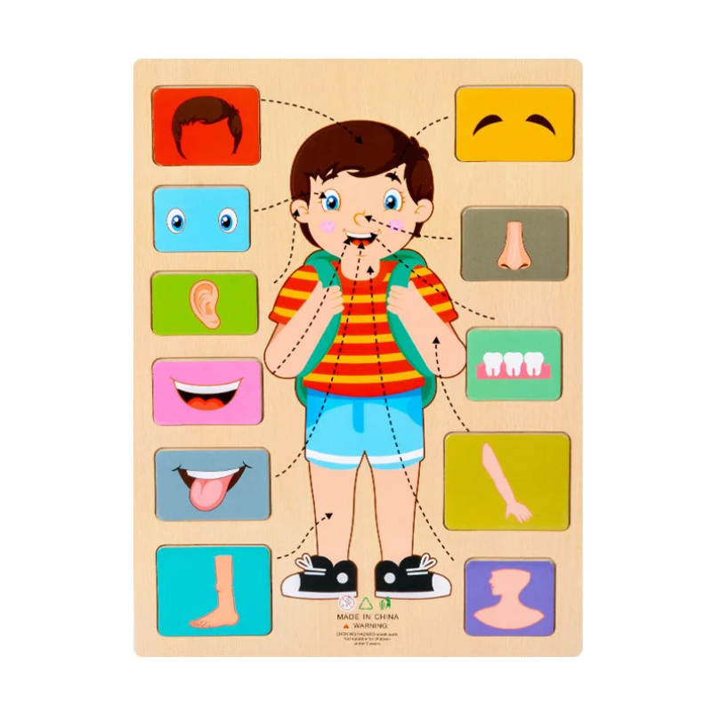 Children's Human Body Educational Wooden Puzzle Toy