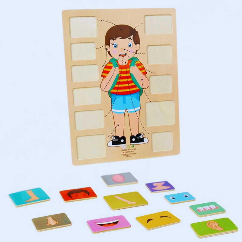 Children's Human Body Educational Wooden Puzzle Toy