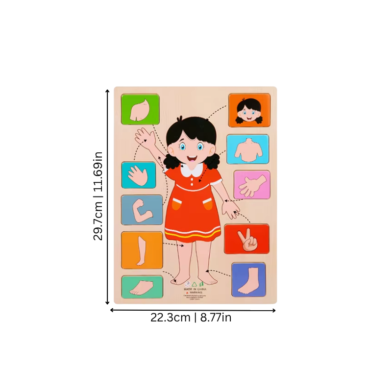 Children's Human Body Educational Wooden Puzzle Toy
