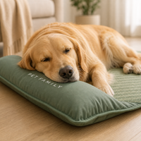 Chilrest Breathable Pet Cooling Mat With Cushion
