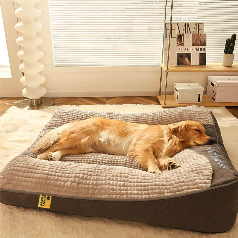 Dog Bed with Spine Protection - Large and Scratch Resistant