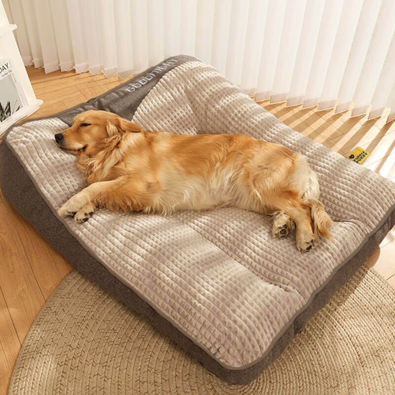Dog Bed with Spine Protection - Large and Scratch Resistant
