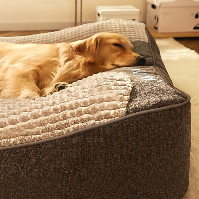 Dog Bed with Spine Protection - Large and Scratch Resistant