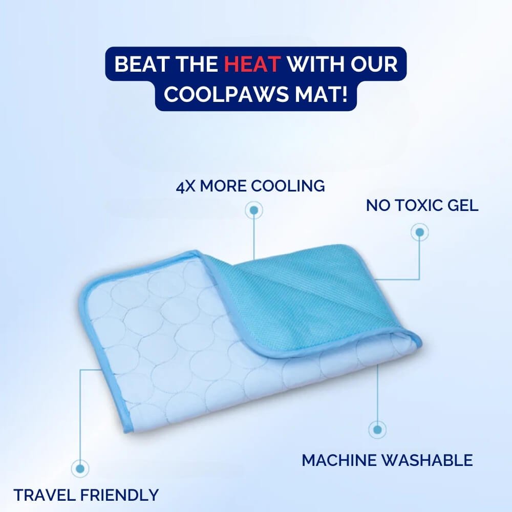 Dog Cooling Mat