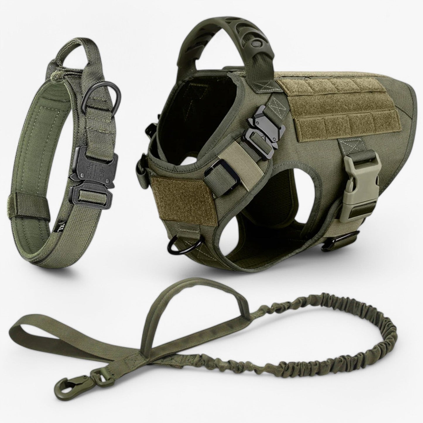 Dog Leash – Comfort and Safety for Training