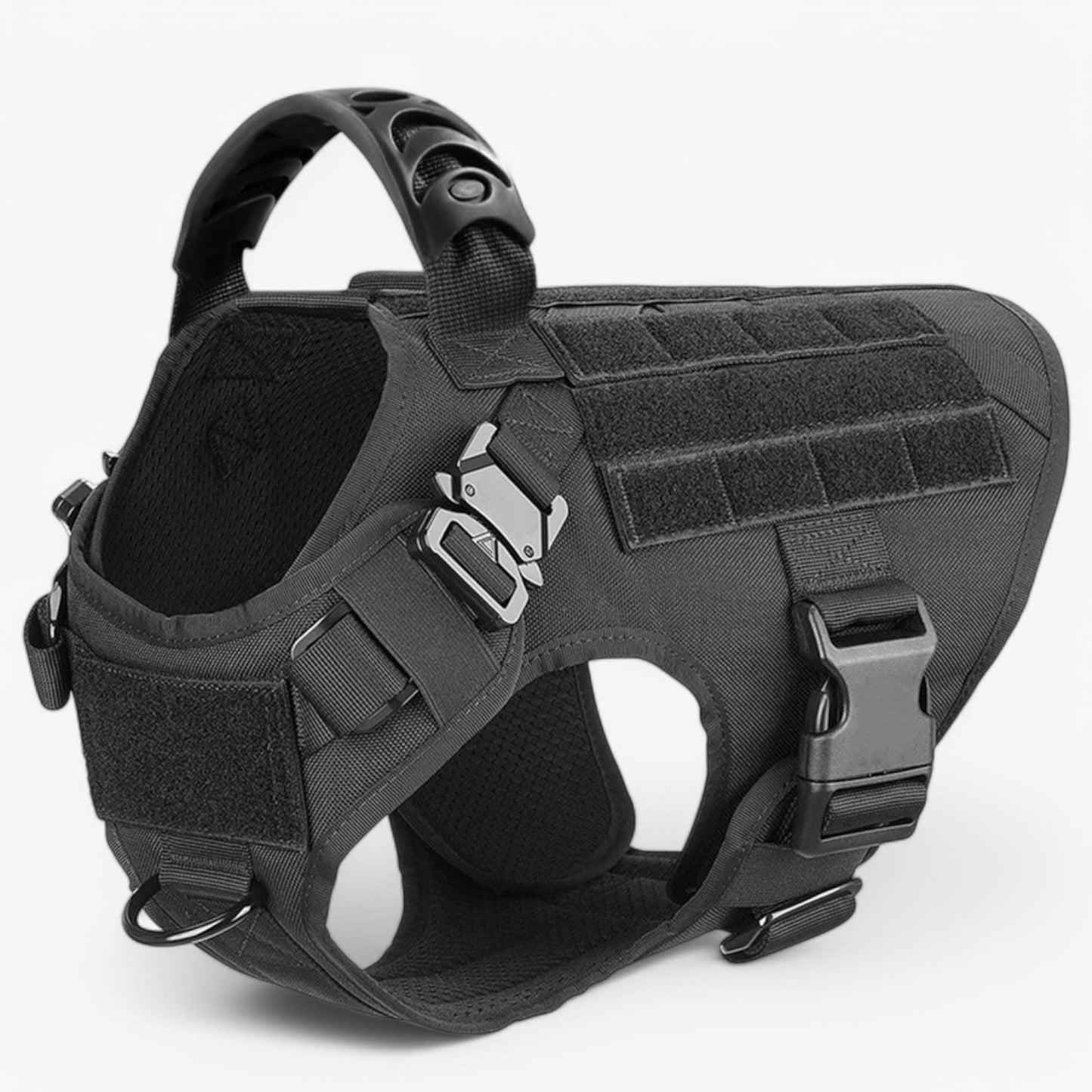 Dog Leash – Comfort and Safety for Training