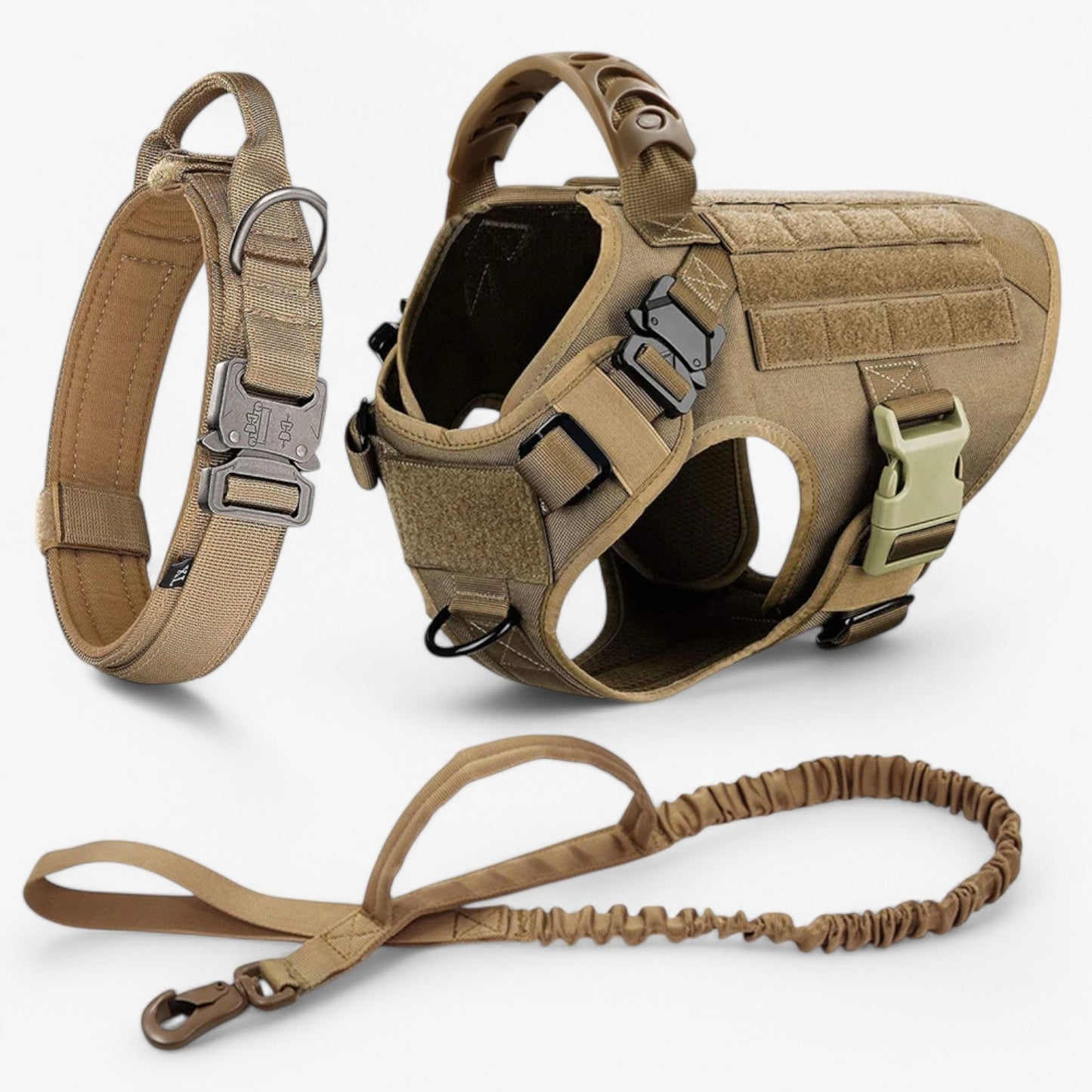 Dog Leash – Comfort and Safety for Training