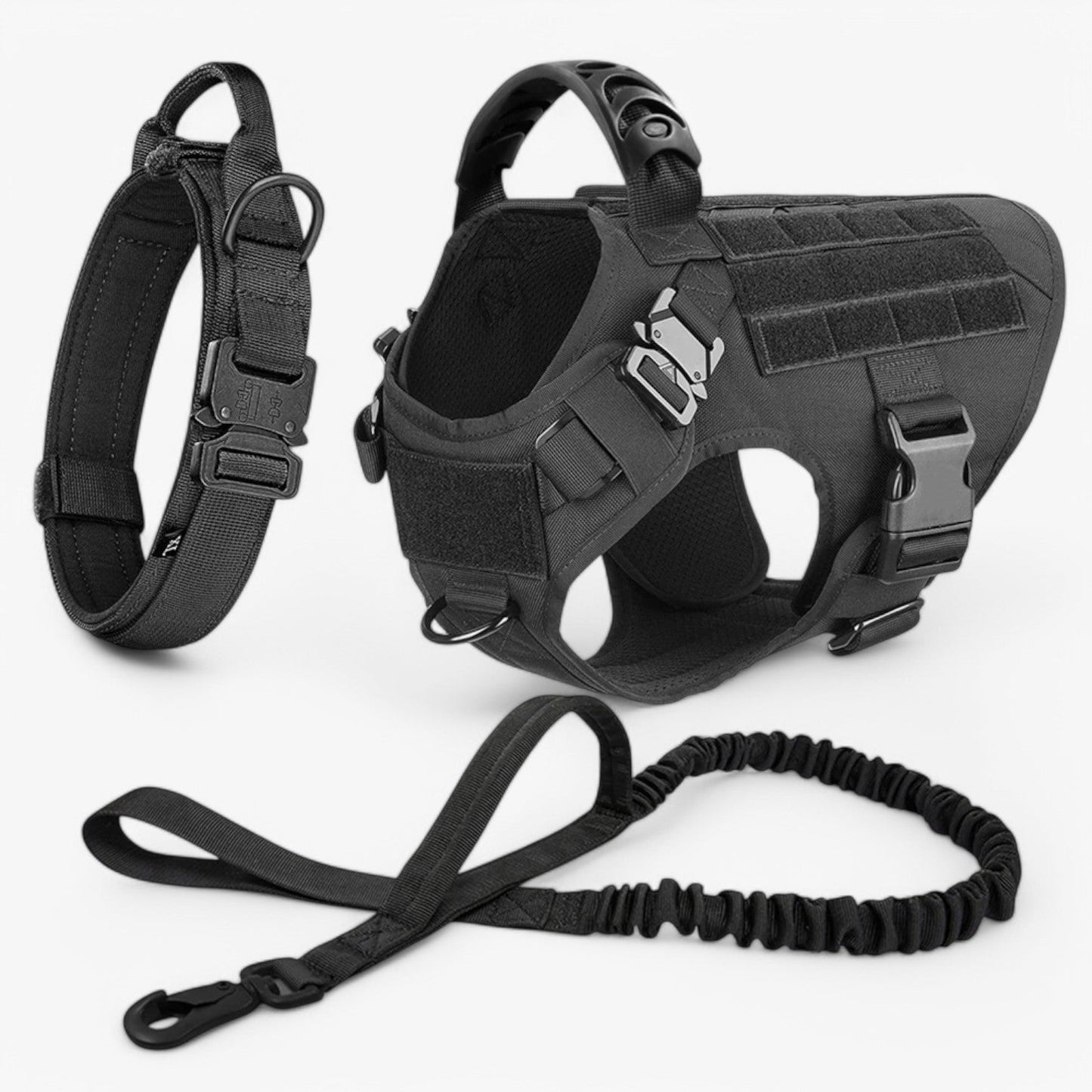 Dog Leash – Comfort and Safety for Training