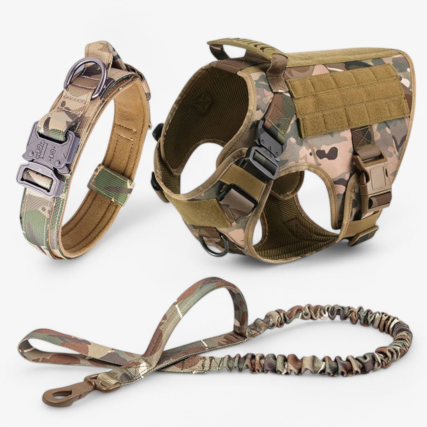 Dog Leash – Comfort and Safety for Training