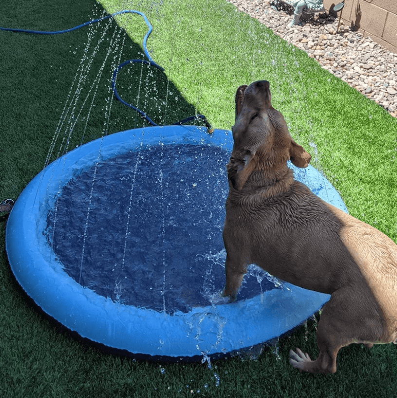 Dog Sprinkler Pad for Dogs – Cool Down and Play in Summer Heat!