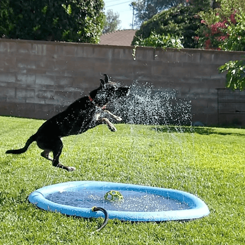 Dog Sprinkler Pad for Dogs – Cool Down and Play in Summer Heat!