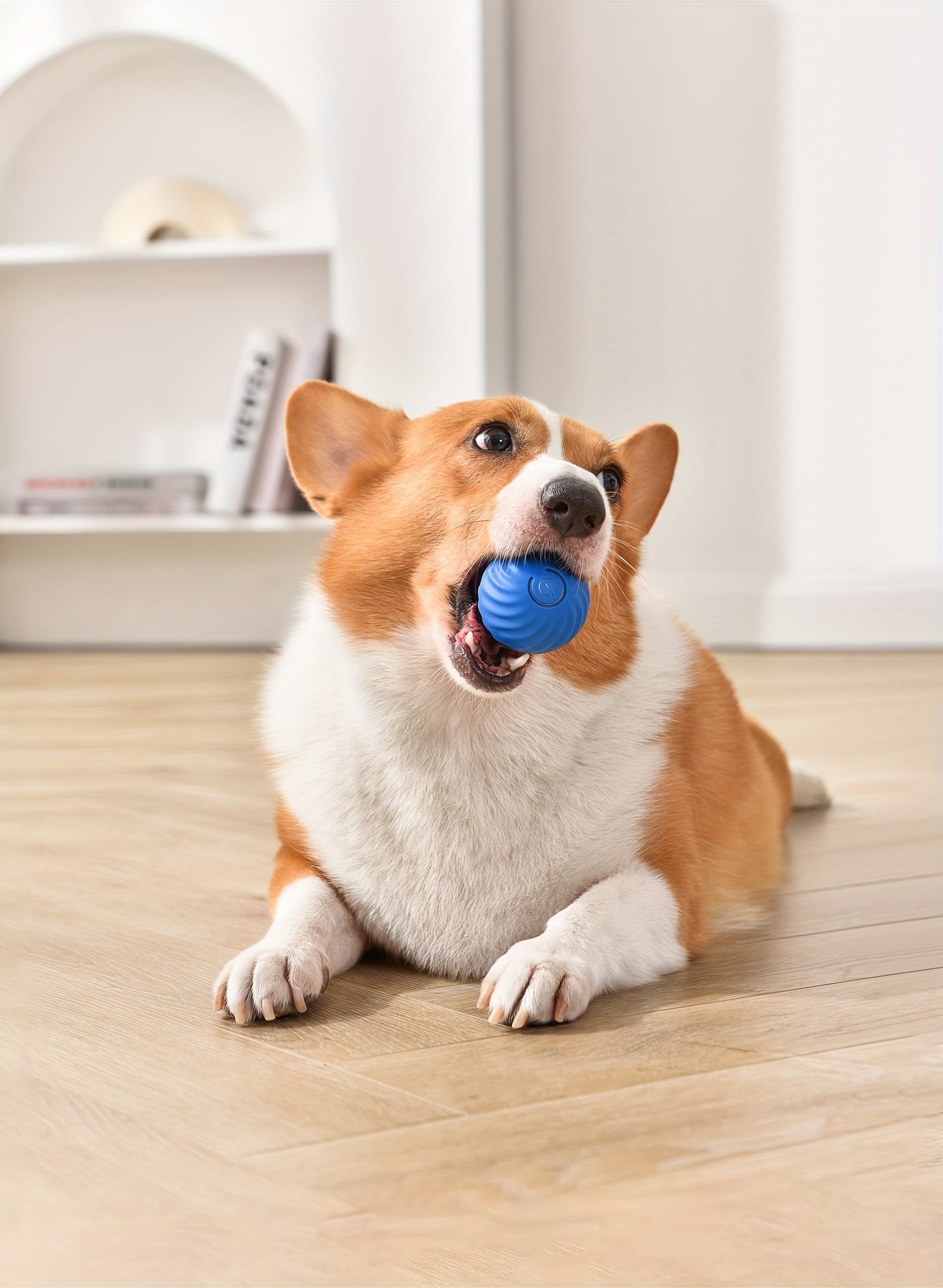 DogCatFri™ HuntingToy - 2 in 1 Simulated Interactive Hunting Toy