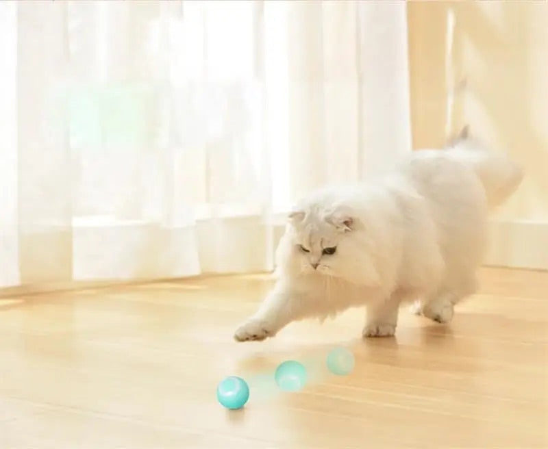 DogCatFri™ HuntingToy - 2 in 1 Simulated Interactive Hunting Toy