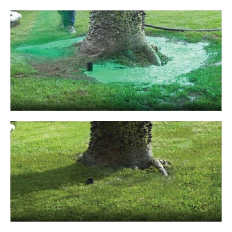 Eco-Friendly Lawn Seed Spray for Flawless Grass Growth