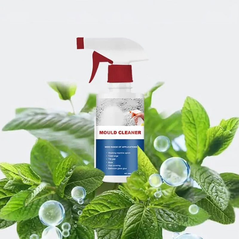 Effective Mould Removal Foam - Removes Mould Stains | Fast Acting