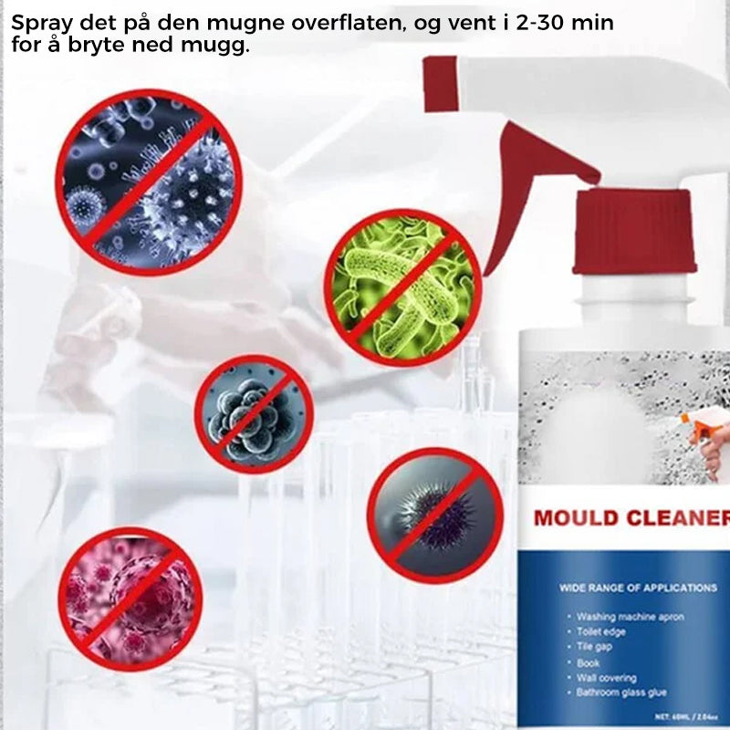 Effective Mould Removal Foam - Removes Mould Stains | Fast Acting