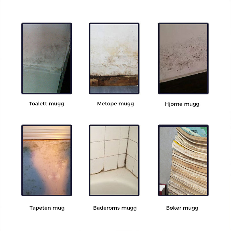 Effective Mould Removal Foam - Removes Mould Stains | Fast Acting