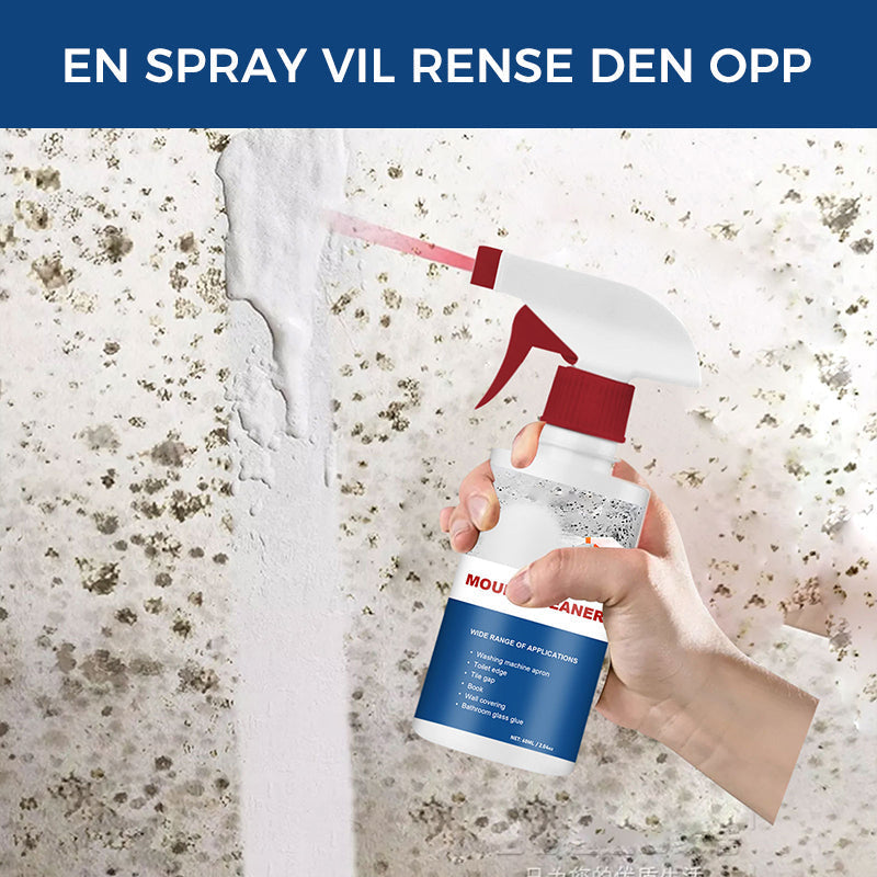 Effective Mould Removal Foam - Removes Mould Stains | Fast Acting