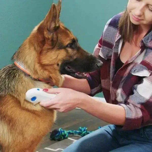 Electric Flea and Tick Remover – Gentle & Chemical-Free