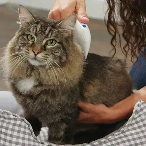 Electric Flea and Tick Remover – Gentle & Chemical-Free