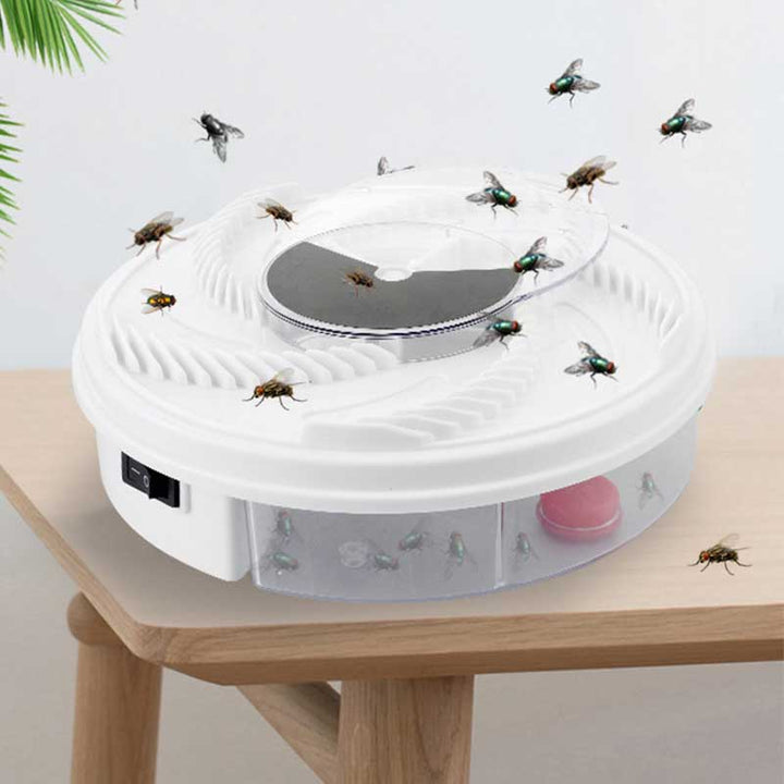 Electric Fly Catcher BuzzTrap for a Home Without Insects