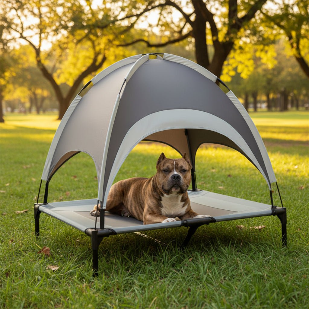 Elevated Dog Bed with Cooling Mat and UV Protection for Outdoor Comfort