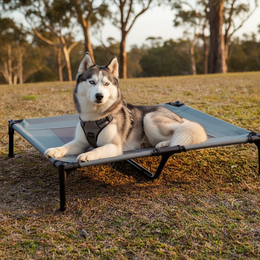 Elevated Dog Bed with Cooling Mat and UV Protection for Outdoor Comfort