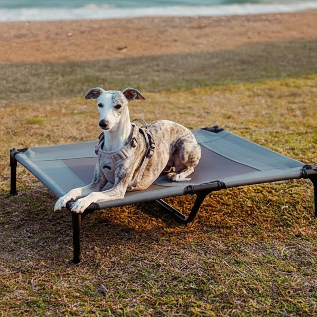 Elevated Dog Bed with Cooling Mat and UV Protection for Outdoor Comfort