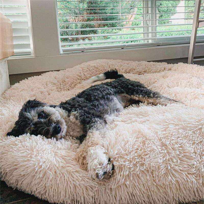 Fluffy Anxiety-Relieving Donut Dog Bed for All Dogs