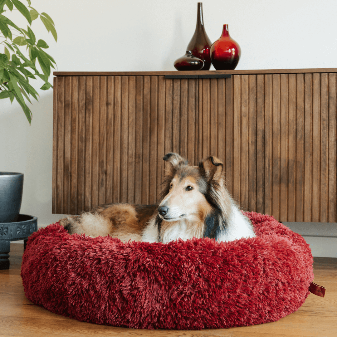Fluffy Anxiety-Relieving Donut Dog Bed for All Dogs